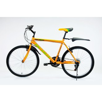 Vélo VTT IN-OUT Mtb 24