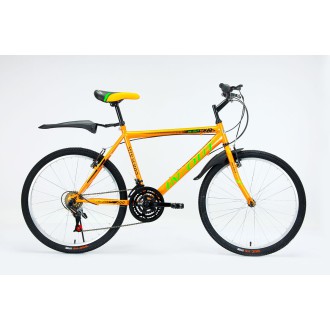 Vélo VTT IN-OUT Mtb 24