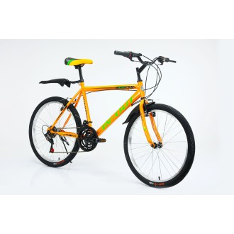 Vélo VTT IN-OUT Mtb 24