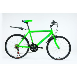 Vélo VTT IN-OUT Mtb 24
