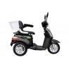 Escooter Tricycle Electrique THREE