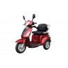 Escooter Tricycle Electrique THREE